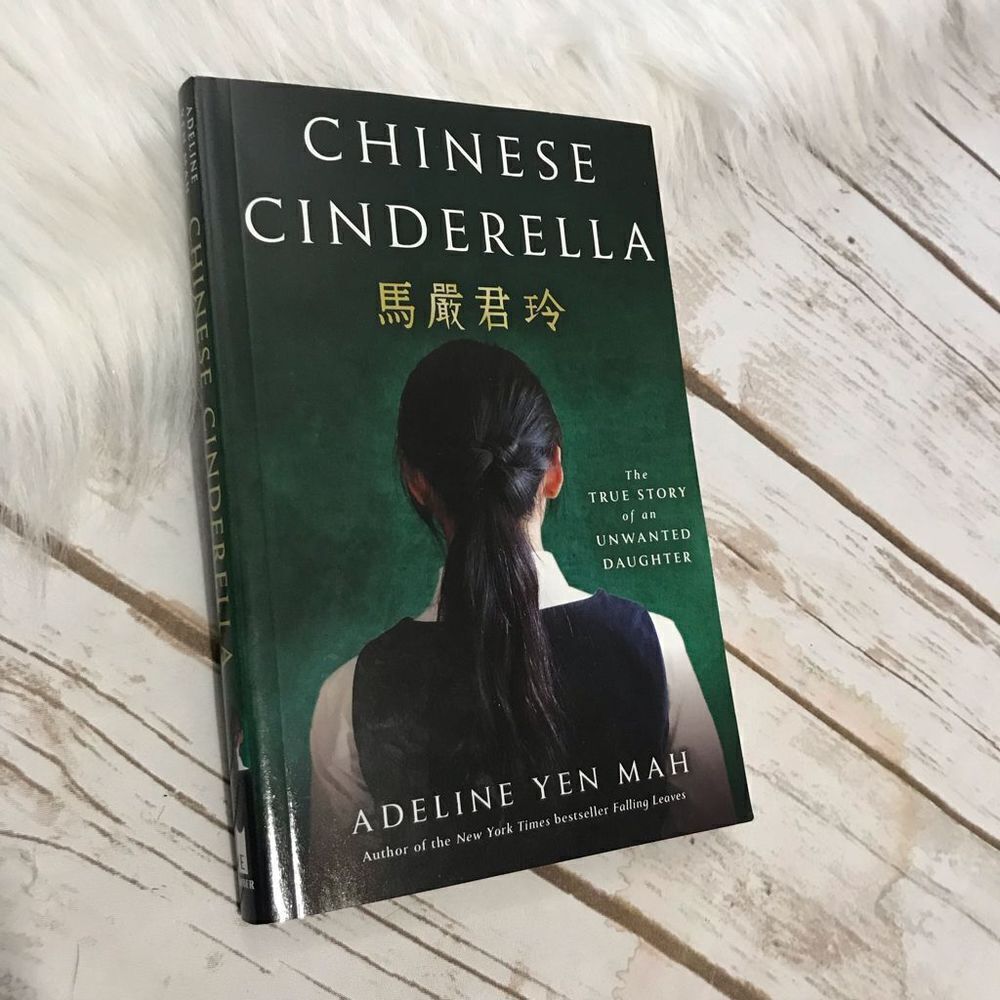 Chinese Cinderella Novel Book Chapter Book Young Adult